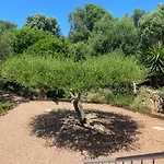 Ferienhaus Largia Vecchio - A 5 Min Des Plages De Palombaggia - Calme- Climatisation Porto-Vecchio (Corsica)
