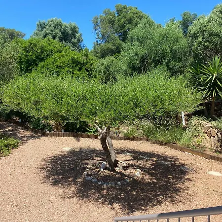Сasa de vacaciones Largia Vecchio - A 5 Min Des Plages De Palombaggia - Calme- Climatisation Porto Vecchio